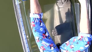 Manatees Intrigued by See Through Canoe