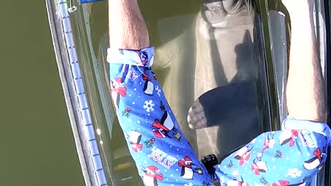 Manatees Intrigued by See Through Canoe