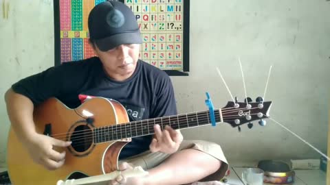 My heart will go on (fingerstyle cover)