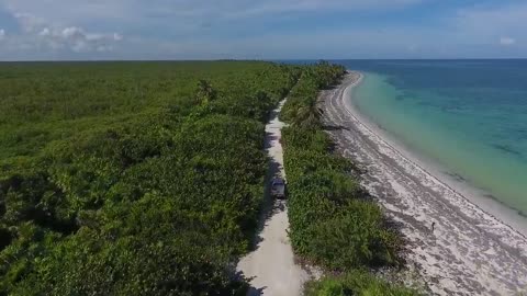 Sea waves & beach drone video | Free HD Video