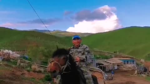 An eagle in the nation on horseback, grassland