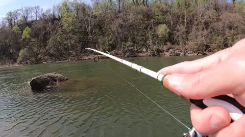 This River is LOADED with FISH! (SURPRISE CATCH)