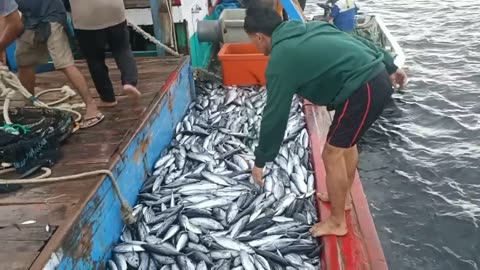 Indonesian fishing purse seine