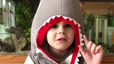 Learn about Sharks ! for preschoolers