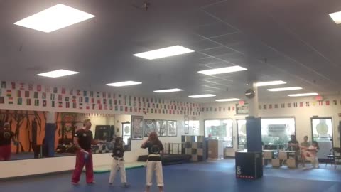 Kickboxing & Taekwondo Class