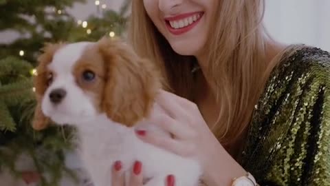 Cute Girl Play With Cute Puppy ❤️, Cute Puppy