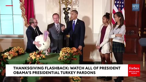 THANKSGIVING FLASHBACK- Watch All Of President Obama's Presidential Turkey Pardons