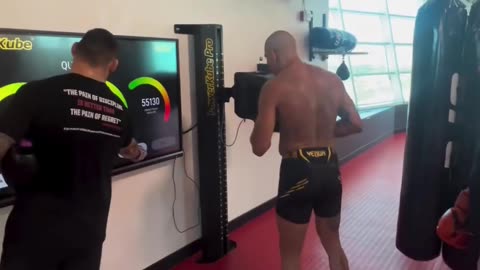 Alex Pereira Crush Francis Ngannou’s Punching Force Record at UFC PI