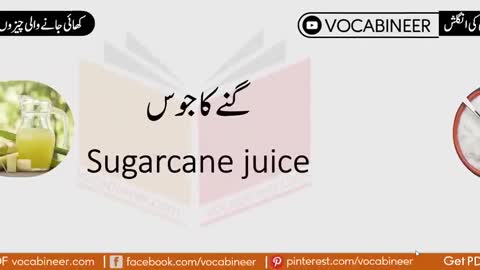 100 Food Vocabulary Words with Their Meanings in Urdu for Daily English Speaking