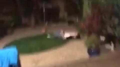 White shirt guy front flips onto butt on grass and lets out long scream