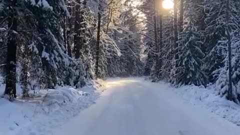Beautiful snowy winter wonderland scenery 😍