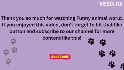 funny animal videos 2024