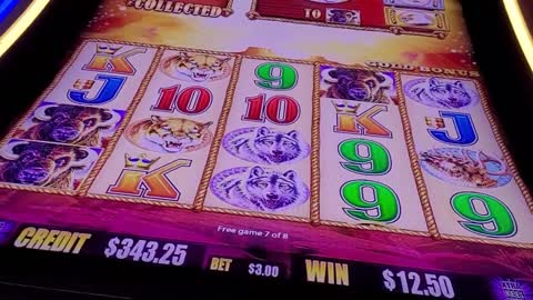 BUFFALO GOLD SLOT MACHINE...BIG JACKPOT HANDPAY!!!