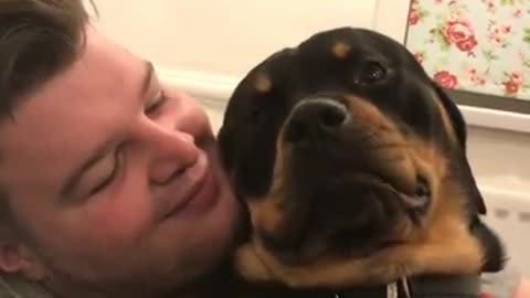 Rottweiler grumble_purr_rumble