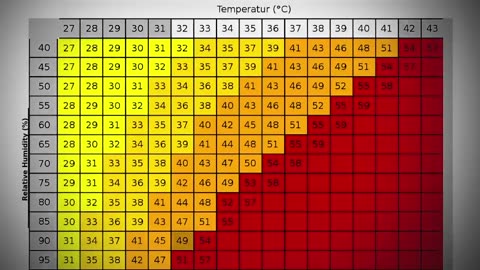 Extreme Heatwave in India | Why 2024 is the Hottest Year? | Dhruv Rathee