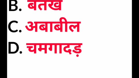 ऐसा कौन सा पक्षी है जो अपने कान से देखता है?