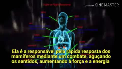 Adrenochom A Droga dos ILLUMINATI