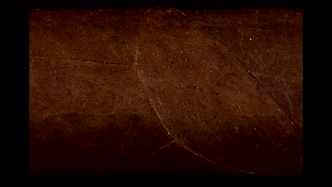 Jose Marti Remedios Cigar Review