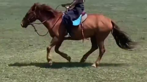 Running freely on a horse