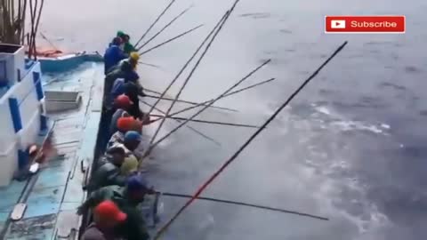 Amazing Technique Tuna Fishing Skill 2020 in the Deep Sea