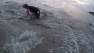 Guy boogie boarding beach shore faceplant into water slips