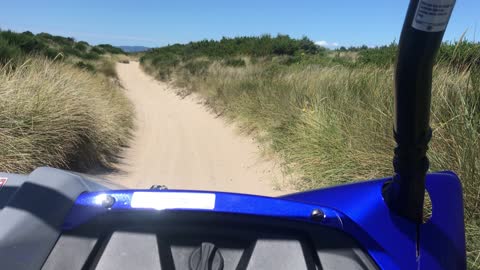 Oregon Dunes