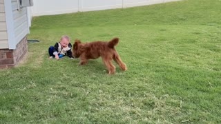 Excited Pup Gets Baby Giggling