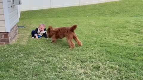 Excited Pup Gets Baby Giggling