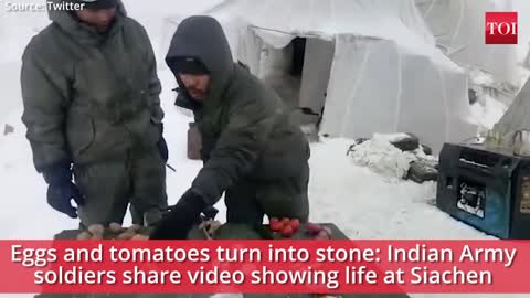 Eggs and tomatoes turn into stone: Indian Army soldiers share video showing life at Siachen