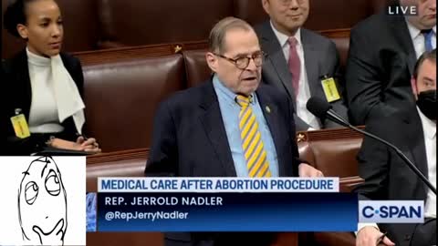 Jerry Nadler Argues Taking Babies to Hospital