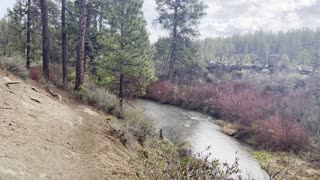 Wilderness Hiking in the Rain on Beautiful Deschutes River Trail – Central Oregon