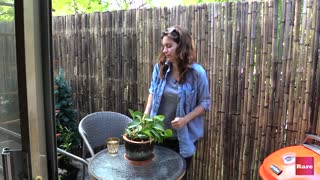 Small patio makeover with Elissa the Mom | Rare Life