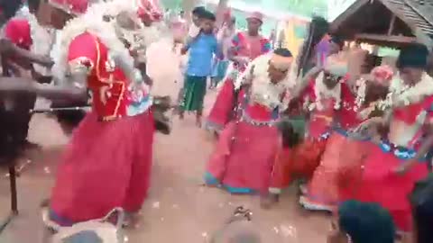 Indian culture dance ( c.g bastar aadivasi culture)