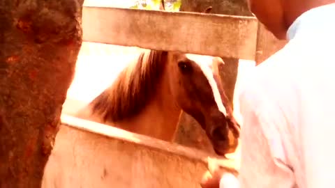 Tour At Mirpur Zoo in 2015