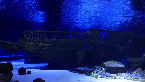 Under water ship