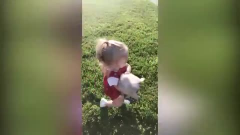 Pets Playing with Babies.