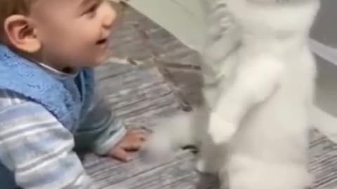 Funny cat and baby video