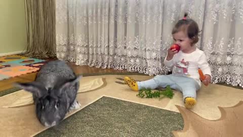 Baby_Feeds_a_Rabbit_-_Cute_and_Funny_Video