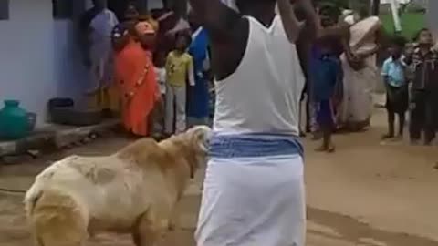 Watch what this animal did to this man