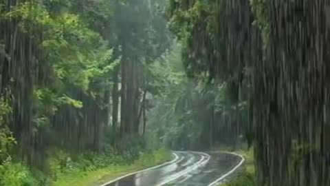 Beautiful Road And Rain