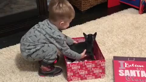 Cute little boy receives a special gift for Christmas
