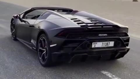 Lamborghini Lover