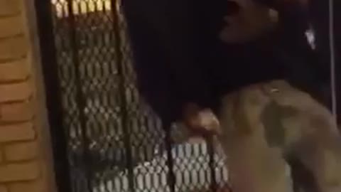 Drunk black guy tries to stand up and walk but falls back to fence