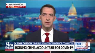 Tom Cotton ATTACKS Fauci: "Democratic Party Activist in a White Lab Coat"