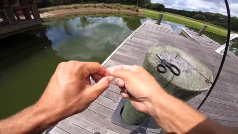 Catching HUGE Fish on GIANT Livebait