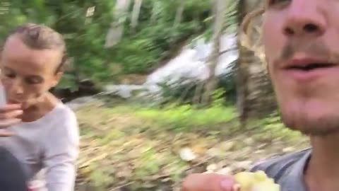 TOURIST FINDS 300 WILD DURIANS IN THE JUNGLE AND EATS THEM ALL! Durio lowianus