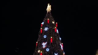 World's biggest Christmas tree lights up in Germany