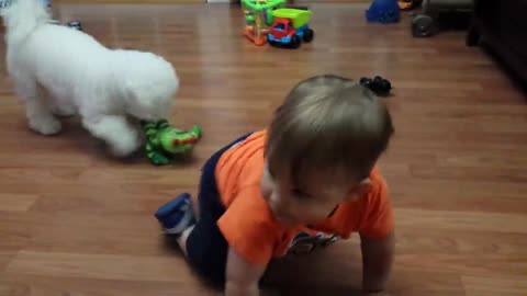 Little girl moves with a cat