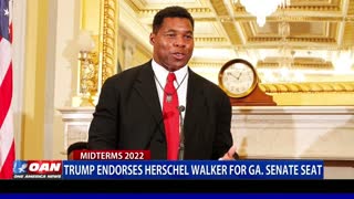 Donald Trump endorses Herschel Walker for Ga. Senate seat