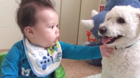 Dogs are the best friend of Babies 56